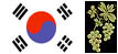Cellers de Corea del Sud